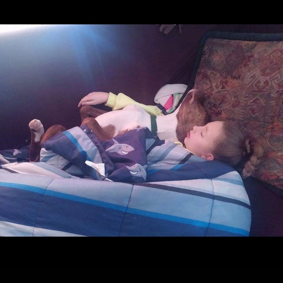 Meet your Posher, Richard - Picture 1 of 1